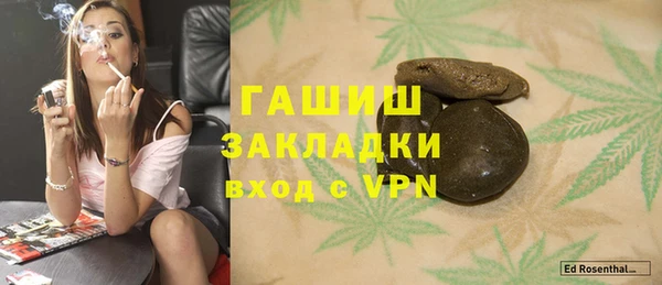 индика Коряжма