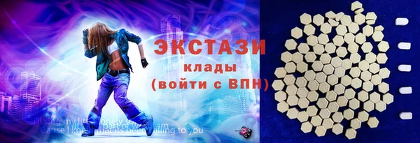 индика Коряжма