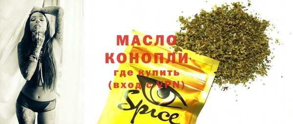 индика Коряжма